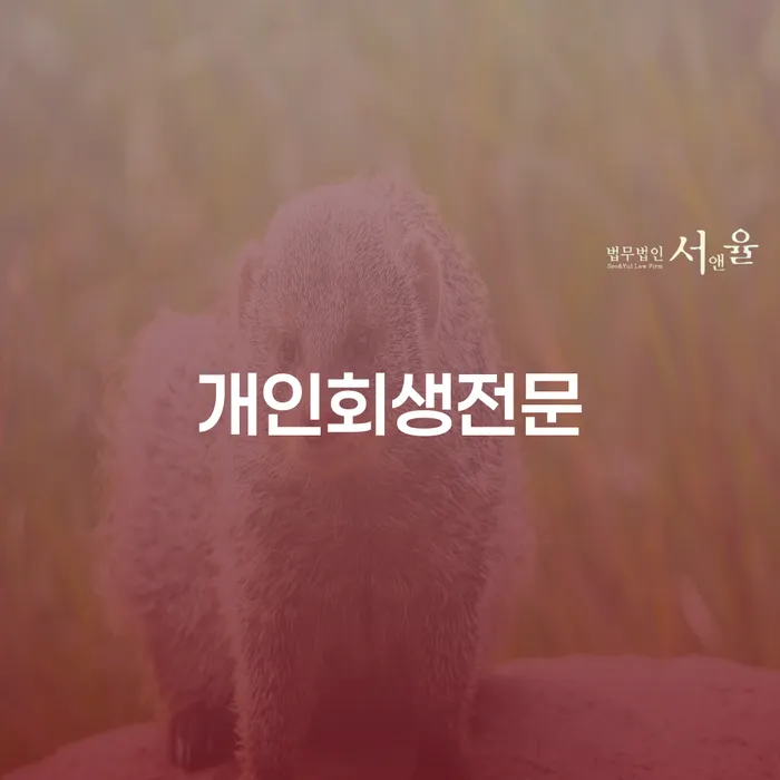 채무자대리인제도 개인회생으로 현명하게 잘 하는 법률사무소