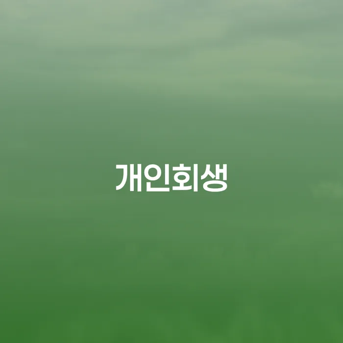 개인회생접수 빚갚는 방법 실제사례