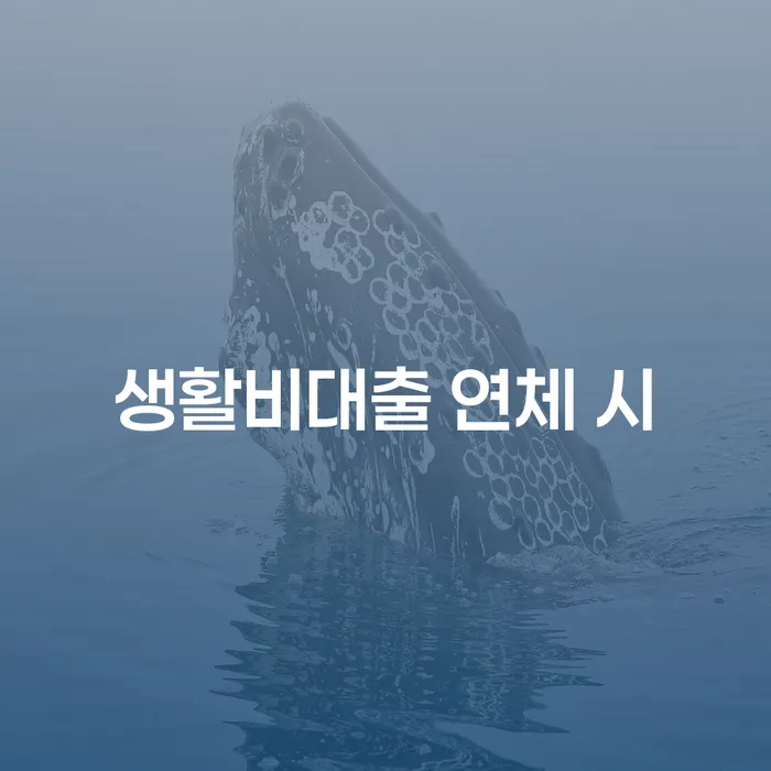 부천시 개인회생무료법률상담센터 개인회생 제도 잘하는 법률사무소