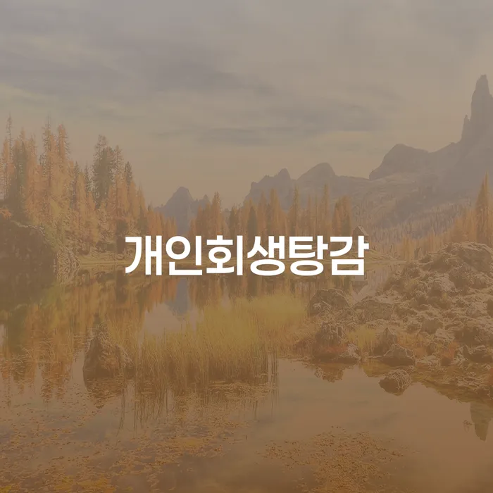 완주군 개인회생 연체 채무 신속해결방법 중요 포인트