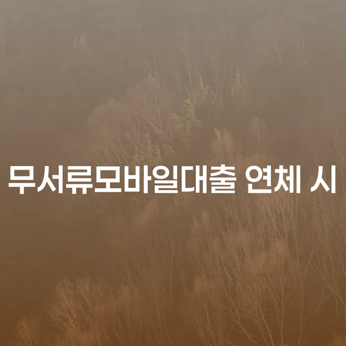 광주광역시 연체전개인회생 카드빚 연체 정해지는
