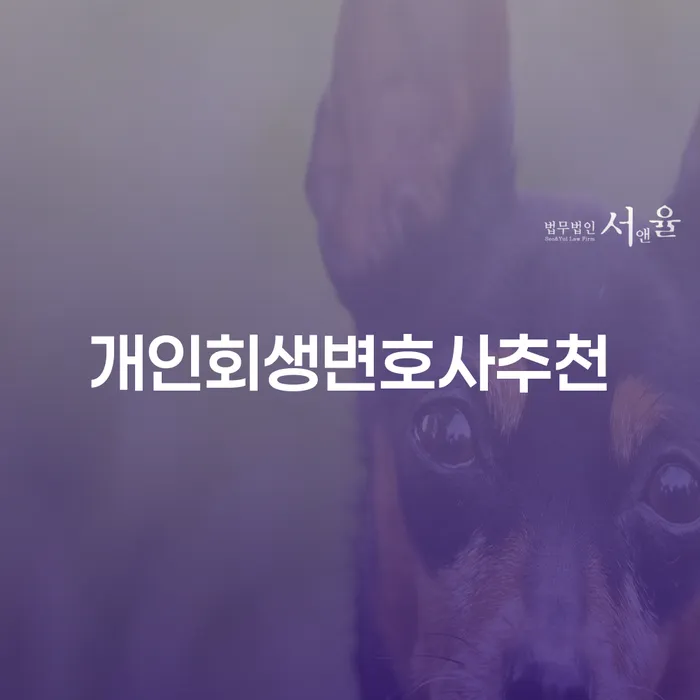원주시 대출빚 카드빚 연체 총정리
