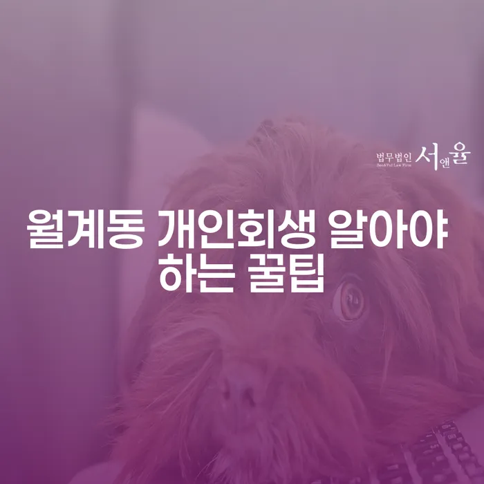 월계동 개인회생 알아야 하는 꿀팁