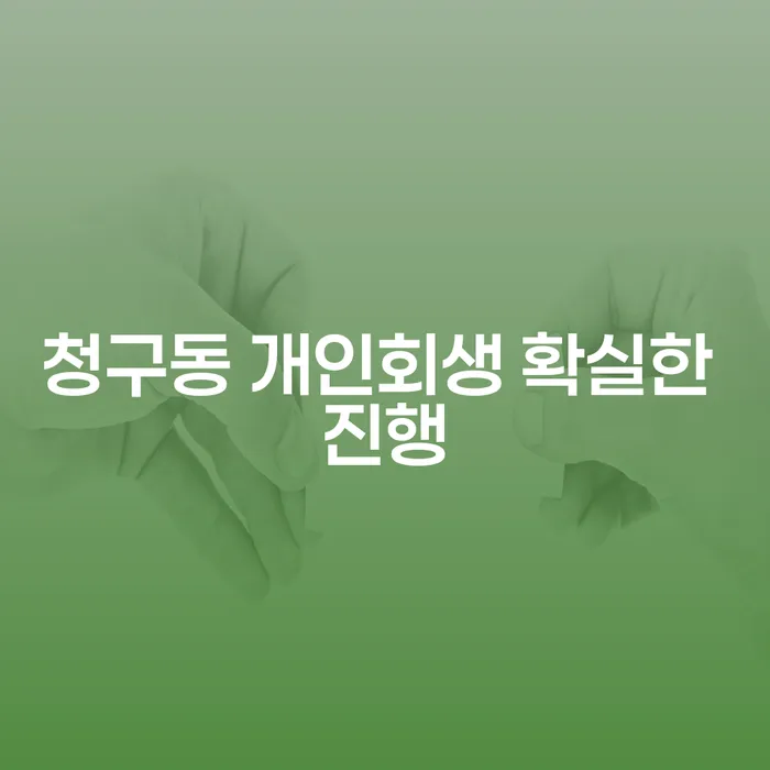 청구동 개인회생 확실한 진행