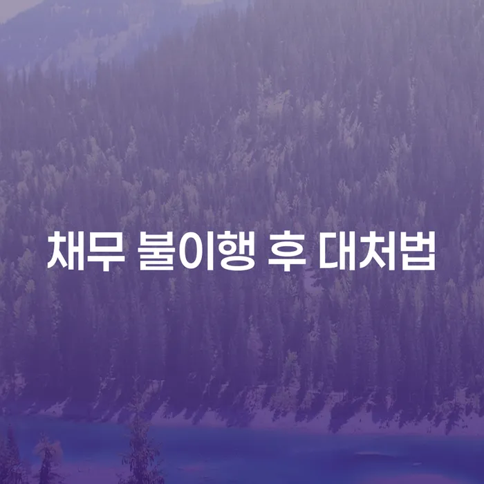 채무 불이행 후 어떻게 대처해야 하나요?