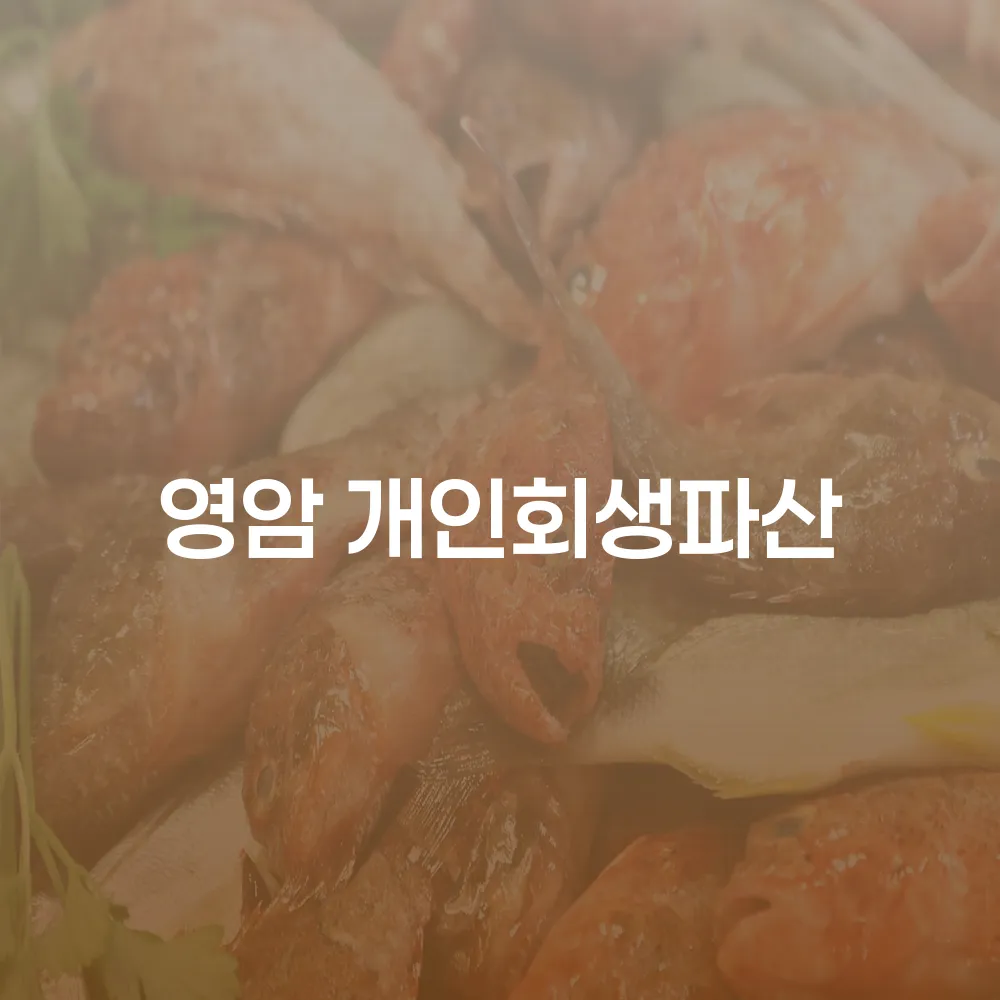 영암 개인회생파산 채무 해결을 위한 최적의 선택