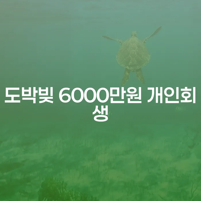 도박빚 6000만원, 개인회생으로 해결할 수 있을까요?