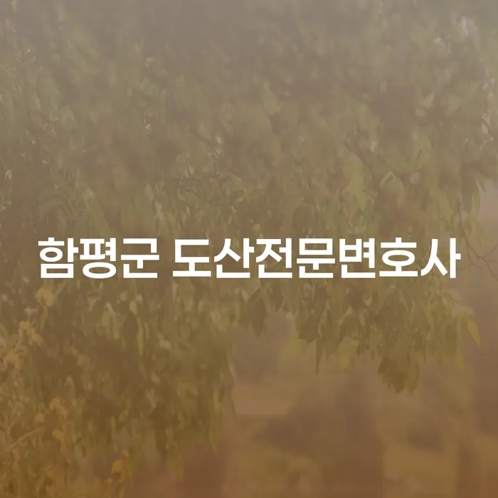 함평군 도산전문변호사에게 개인회생과 파산 상담을 받아야 하는 이유는?